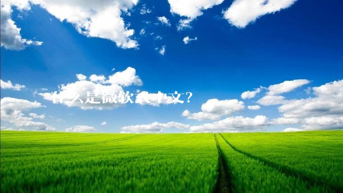 什么是微软式中文？